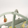 MiniDream Arch set with hanging toys.