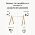 An infographic titled 