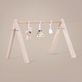 Montessori Wooden Play Gym - Wonderland Toys