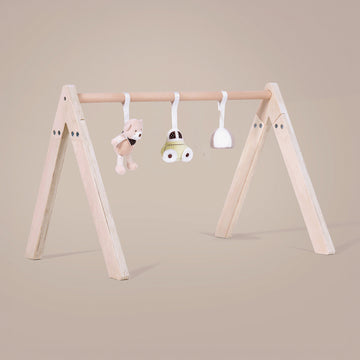 Montessori Wooden Play Gym - Wonderland Toys